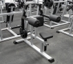 Iso Lateral Raise